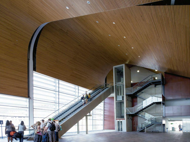 CIELOS_WOODLINES_OPCIONES-1