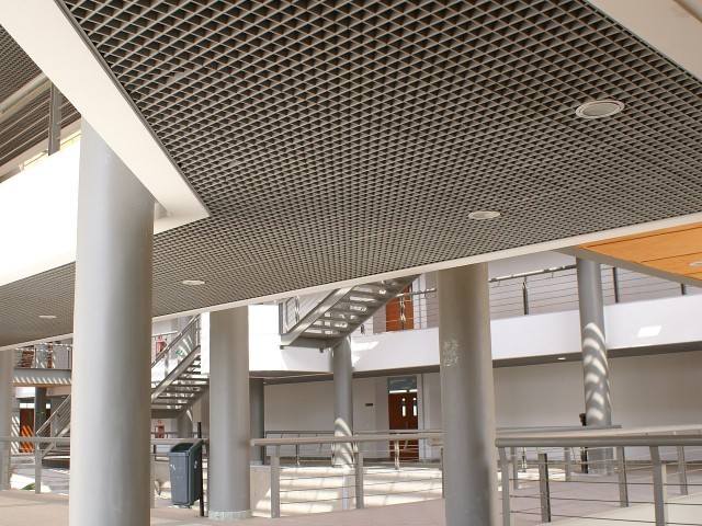 cell-2