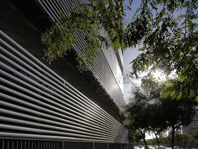 celoscreen-2