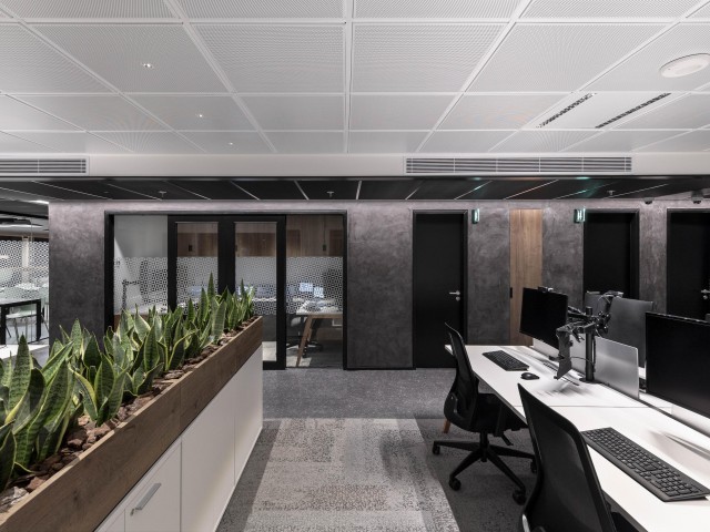 mini_HSBC_Alta_5