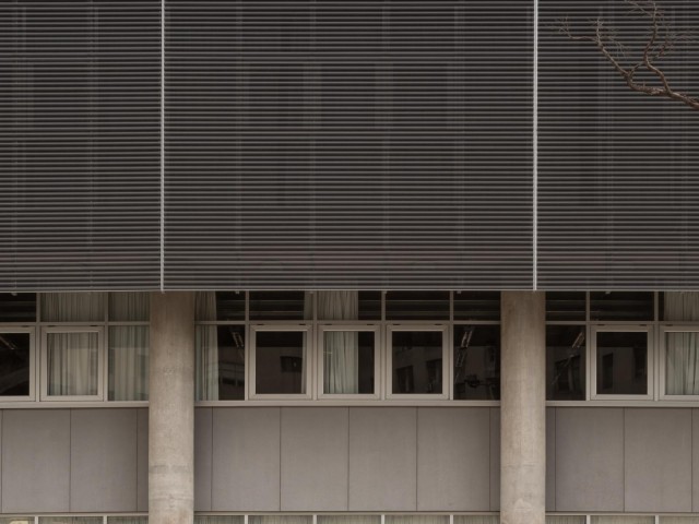 mini_MG_20201124_0062-1