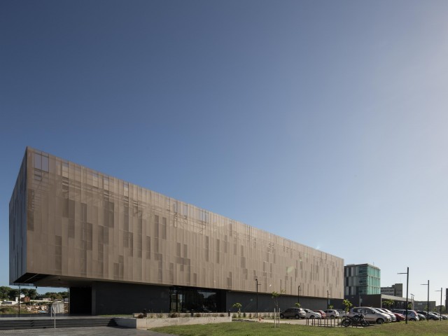 mini_MG_JEFATURA_20200103_003-1