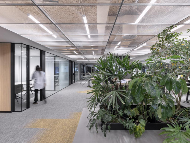 mini_Santander_Alta_6