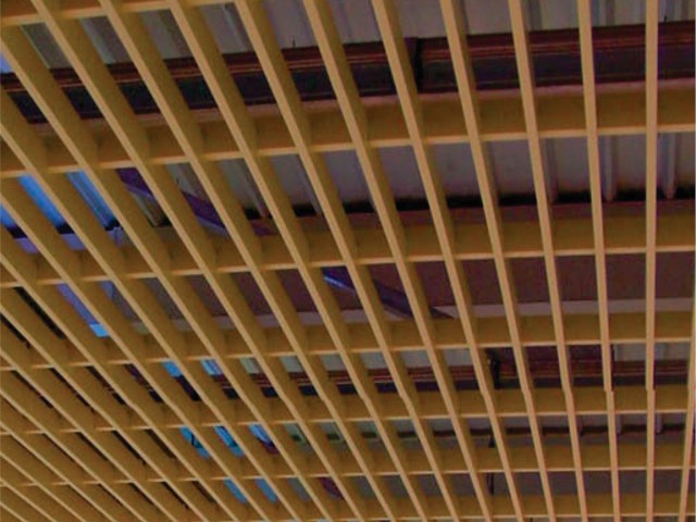 MULTICELL